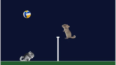 Chinchilla Volleyball gameplay screenshot